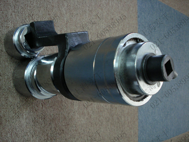 Ť���������DƬ